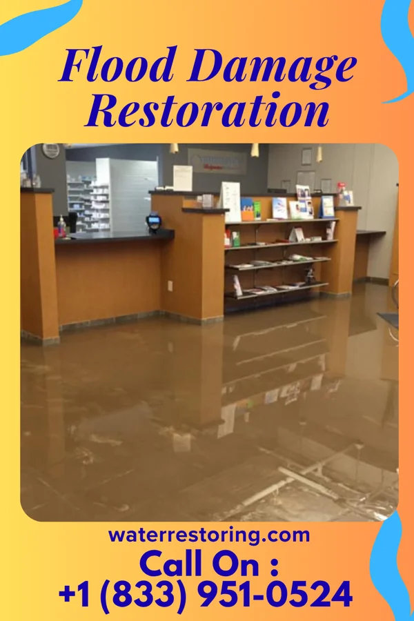 Flood Damage Restoration in Stapleton, NE