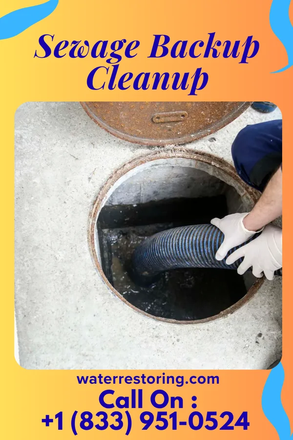 Sewage Backup Cleanup in Stapleton, NE